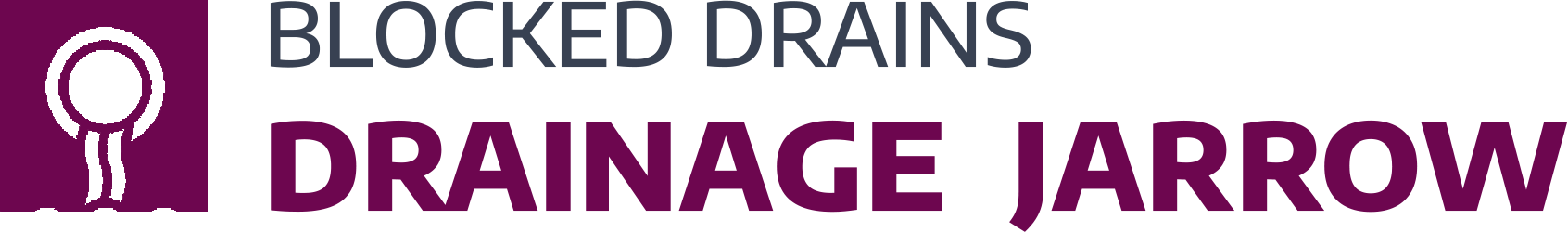 website logo